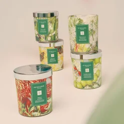 Elderflower & Gooseberry Charity Classic Candle