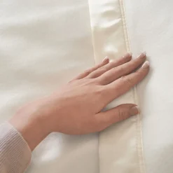 Electric Blanket Adapto Single