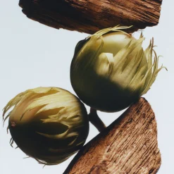 English Oak & Hazelnut Cologne