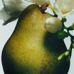 English Pear & Freesia Soap