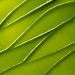 Fashion KATE SOMERVILLE ExfoliKate Intensive