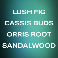 Best PHLUR Father Figure EDP