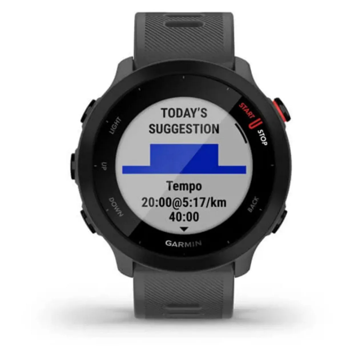 Forerunner 55 GPS Monterra Grey