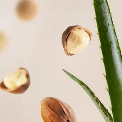 Fortune Balms - Teddy