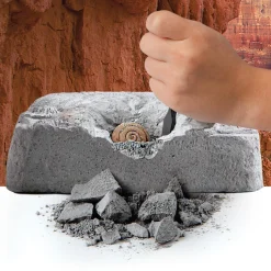 Fossil Dig Set