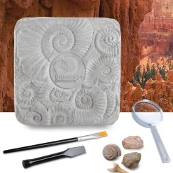 Fossil Dig Set