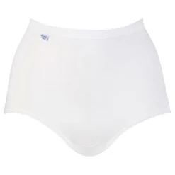 Four-Pack Basic Maxi Briefs