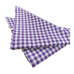 Four-Piece Gingham Cotton Napkin Set