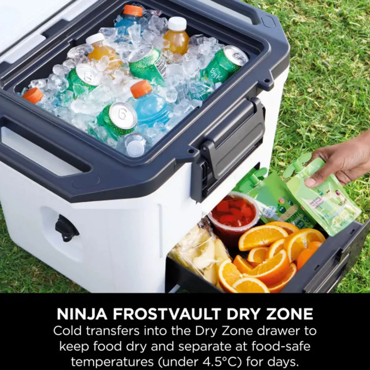 Outlet NINJA FrostVault 28L Hard Cooler, Cloud White