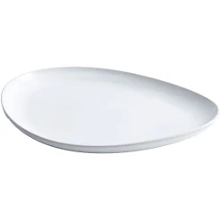 Glazed Stoneware Dinner Plate