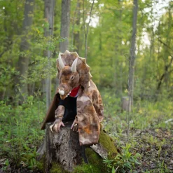 Grandasaurus Triceratops Two-Piece Cape & Claws Set 4-6 Years