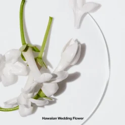 Clearance CLINIQUE Happy™ Body Spritz