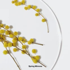 Clearance CLINIQUE Happy™ Body Spritz