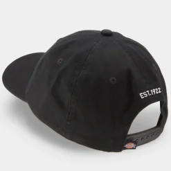 New DICKIES Hardwick Logo Cap