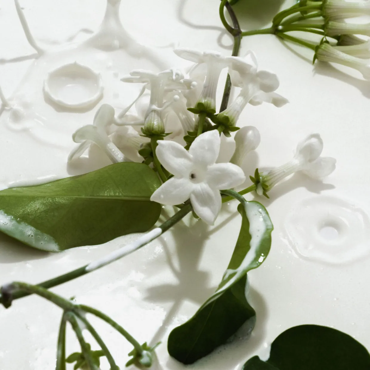 Heavy Cream Hair and Body Mist