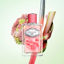 Infusion de Rhubarbe EDP