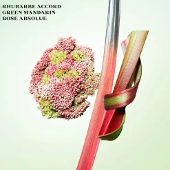 Fashion PRADA BEAUTY Infusion de Rhubarbe EDP