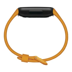 Inspire 3 Black-Morning Glow Tracker