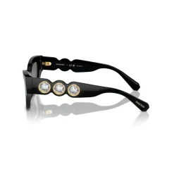Best SWAROVSKI Irregular Sunglasses SK6021