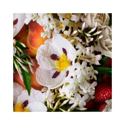 Outlet MOLTON BROWN Jasmine & Sun Rose Exquisite Bathing Oil