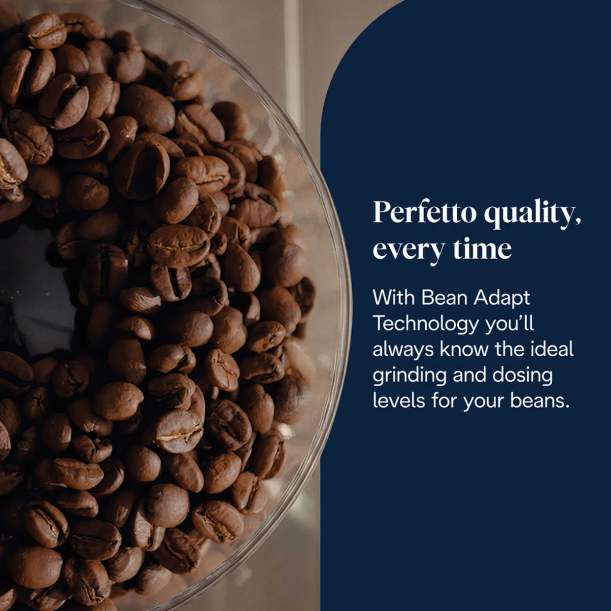 La Specialista Touch