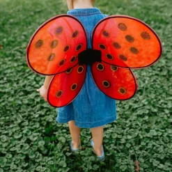 Lady Bug Two-Piece Wings & Headband Set