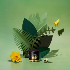 Best LAKRIDS BY BULOW Lemon Chocolate Coated Liquorice 125g