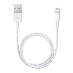 Online APPLE Lightning to USB 2m Cable