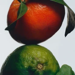 Lime Basil & Mandarin Body & Hand Wash