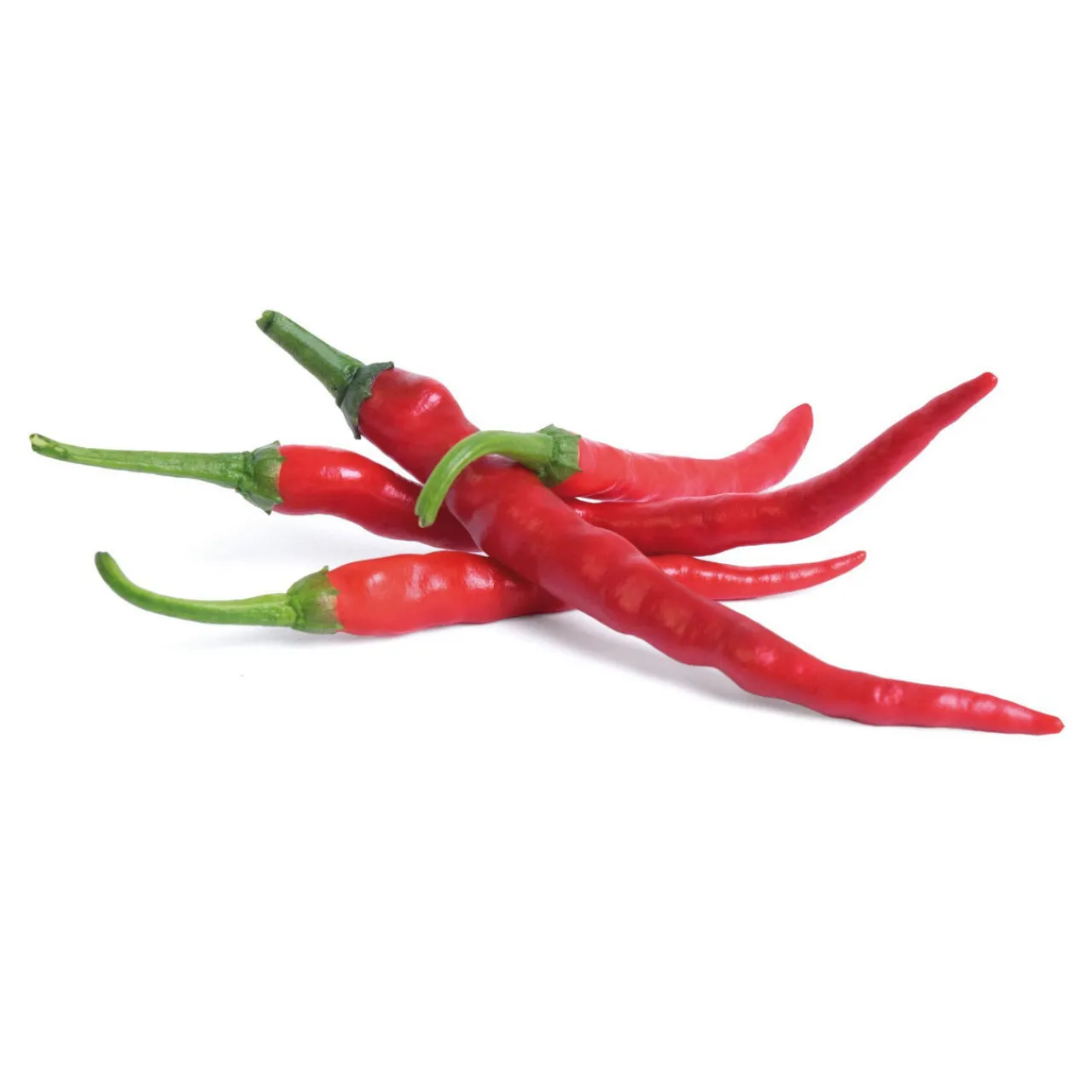 Best VERITABLE Lingot Cayenne Hot Chilli Seeds