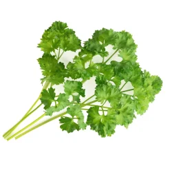 Lingot Curley Parsley Organic Seeds