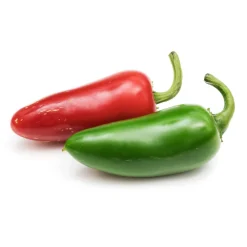 Discount VERITABLE Lingot Jalapeno Hot Chilli Seeds