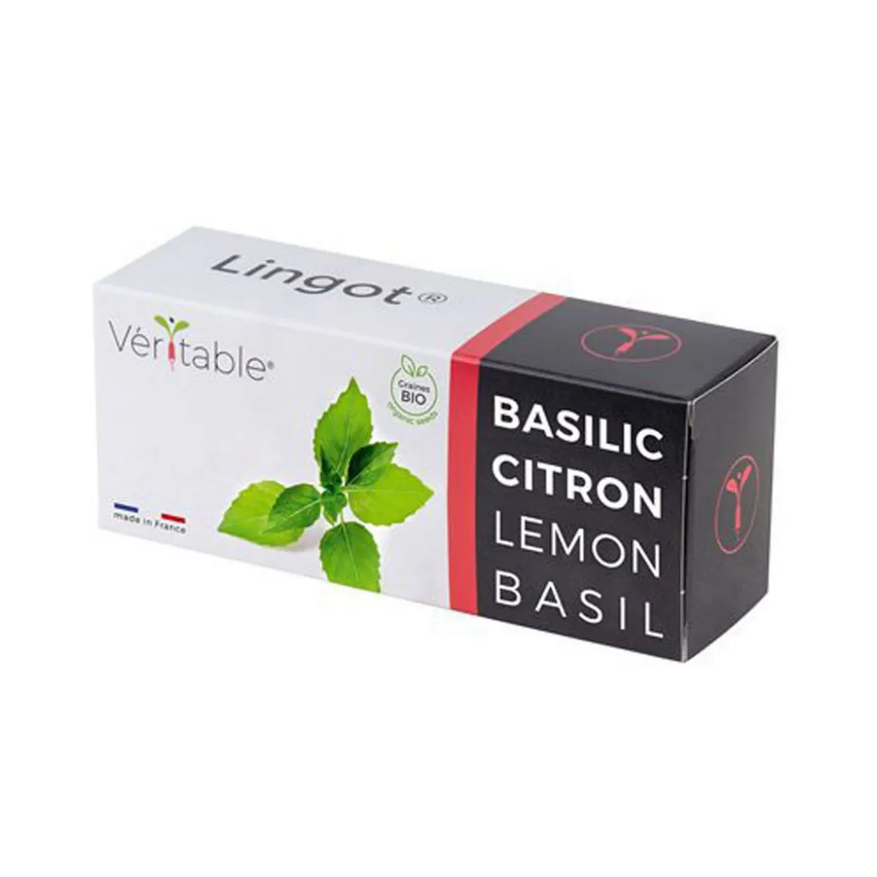 Lingot Lemon Basil Organic Seeds