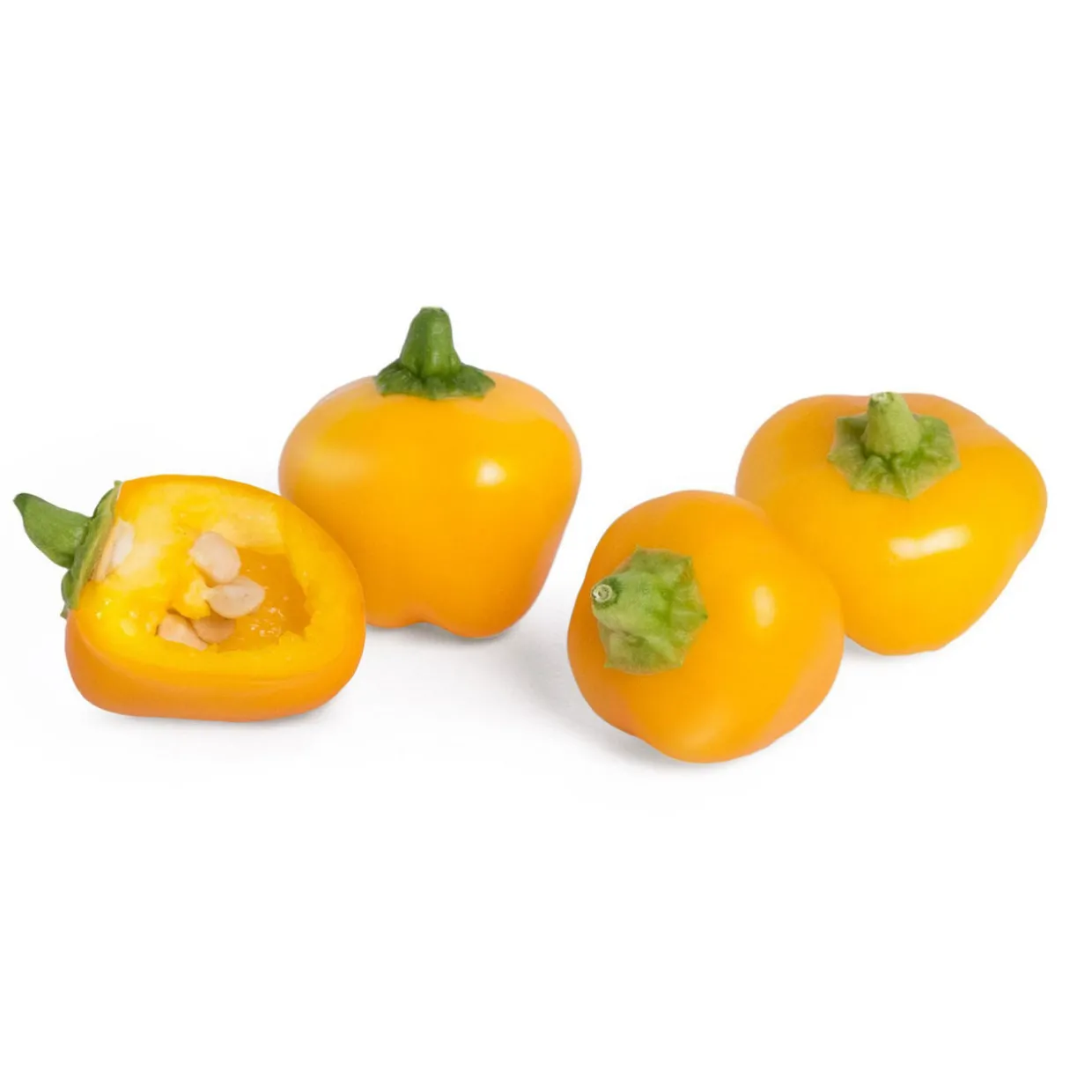 Lingot Mini Yellow Pepper Organic Seeds