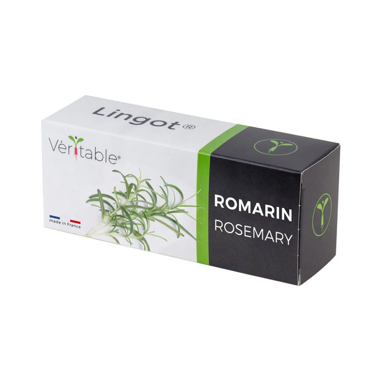 Lingot Rosemary Seeds