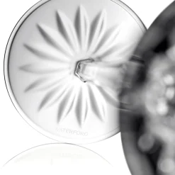 New WATERFORD Lismore Black Toasting Flute Set of Two