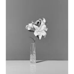 Lismore Bud Vase 18cm 7in