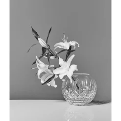 Lismore Rose Bowl 15cm 6in