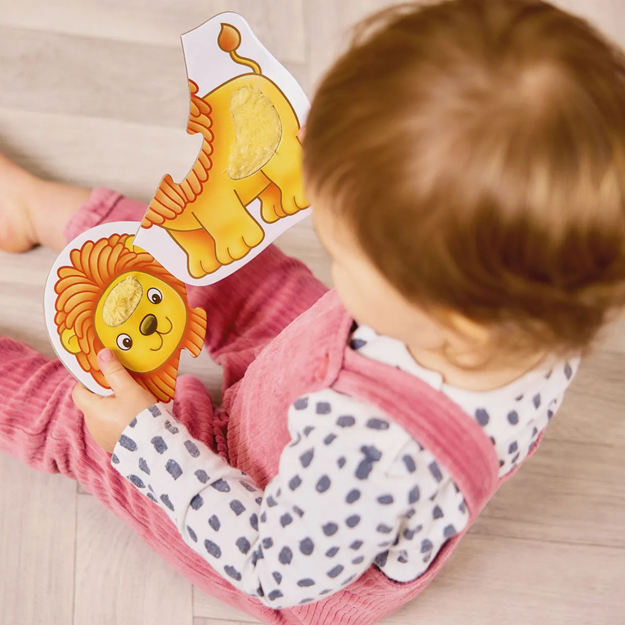 Hot ORCHARD TOYS Match & Feel: Two-Piece Puzzles