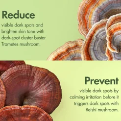 Mega-Mushroom Dark Spot Corrector Serum