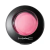 Mineralize Blush