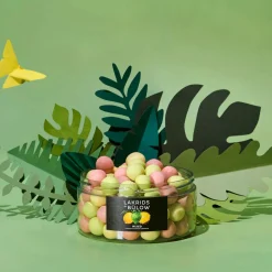 Mixed Summer Chocolate Coated Liquorice 550g