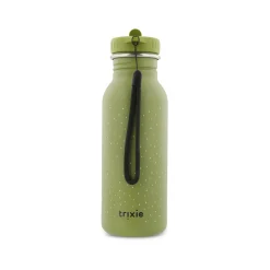 Mr. Dino Water Bottle 500ml