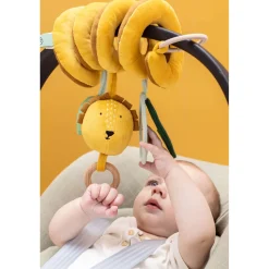 Online TRIXIE Mr. Lion Activity Spiral