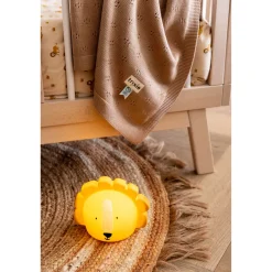 Best TRIXIE Mr. Lion Night Light