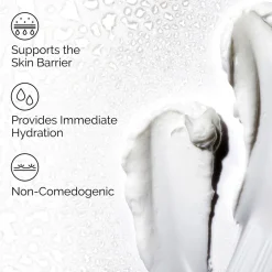 Best THE ORDINARY Natural Moisturising Factors + HA