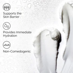 Natural Moisturizing Factors + HA