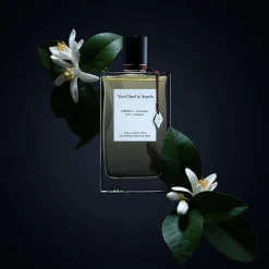 Neroli Armara EDP