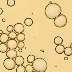 New LIVING PROOF No Frizz Vanishing Oil