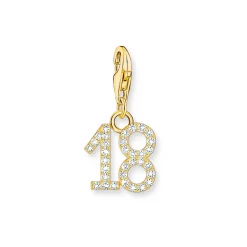 Number 18 Charm